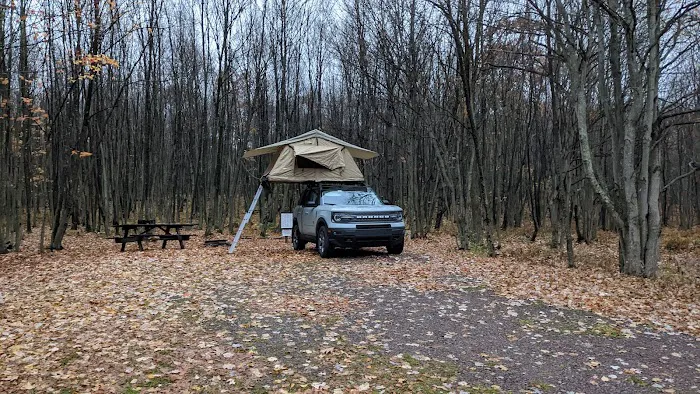 Forbes State Forest Motorized Site 6 Picture 9