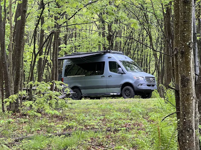 Forbes State Forest Motorized Site 6 Picture 7