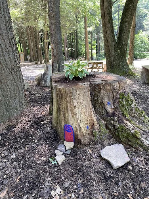 Sleepy Hollow Campground Picture 5