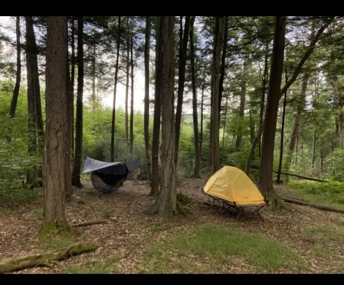 Sleepy Hollow Campground Picture 8