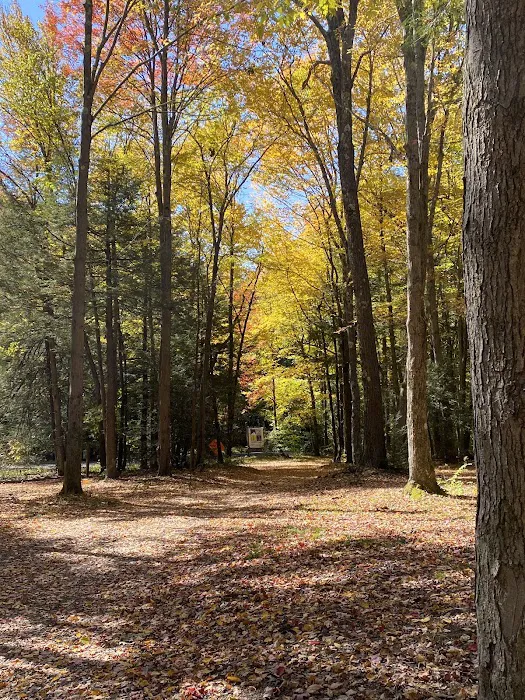 Sleepy Hollow Campground Picture 7