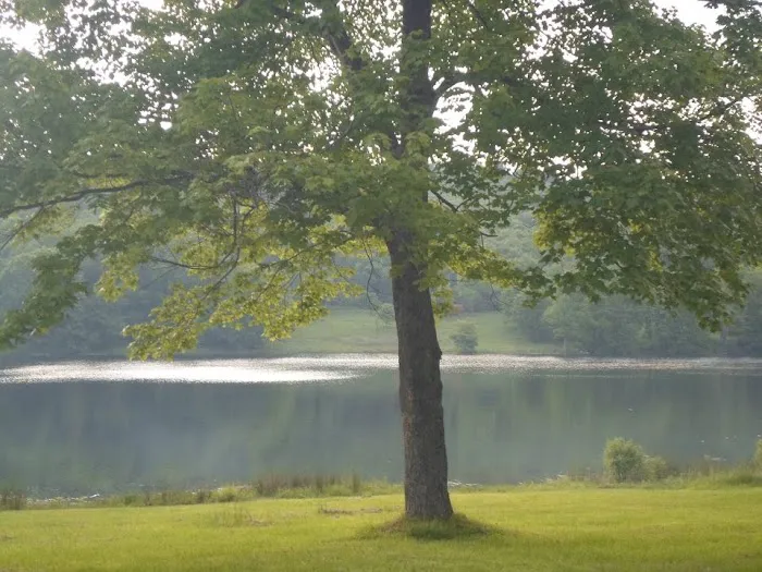 Little Brown Lake Campground Picture 10
