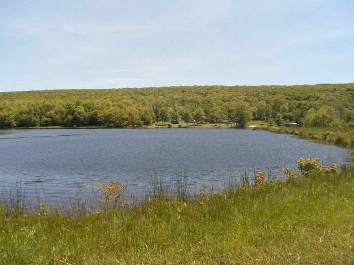 Little Brown Lake Campground Picture 9