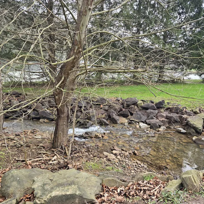 Outflow Campground Picture 7