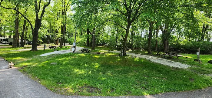 Donegal Campground Picture 6