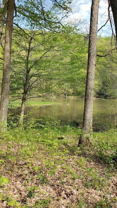 Donegal Campground Picture 7