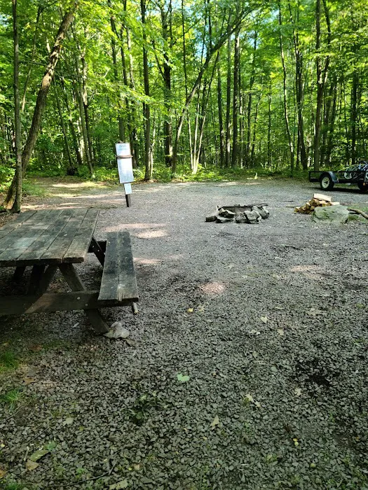 Forbes Motorized Campsite #5 Picture 10