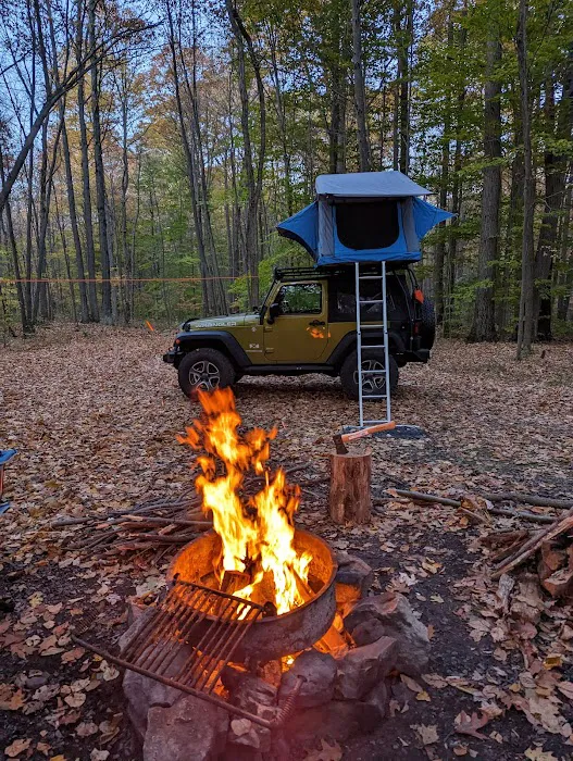 Forbes Motorized Campsite #5 Picture 1