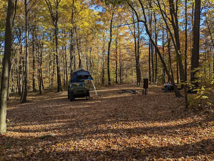 Forbes Motorized Campsite #5 Picture 9
