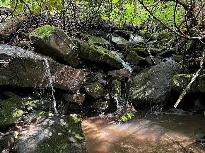 Wander Ridge Picture 9