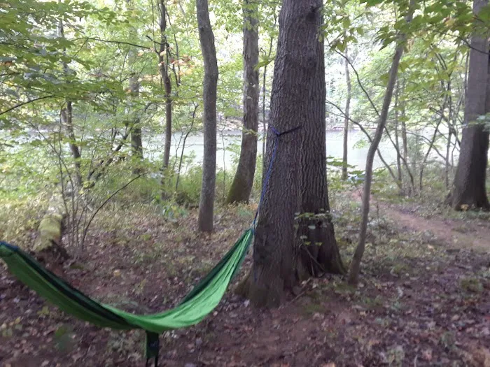 Paddler's Lane Campground Picture 8