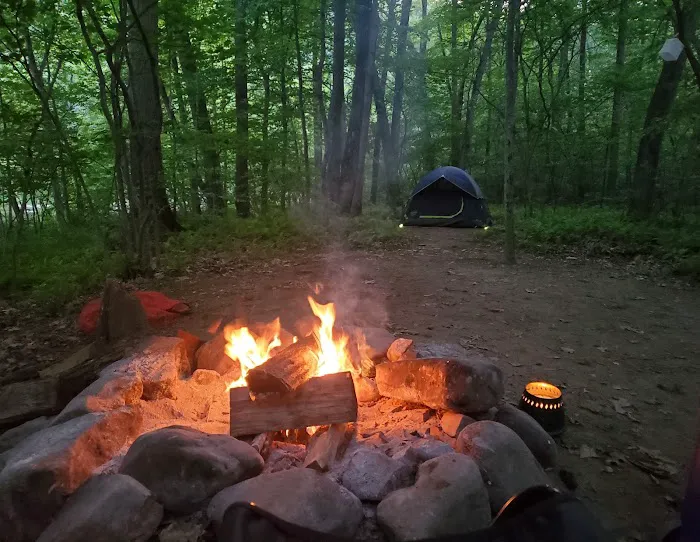 Paddler's Lane Campground Picture 2