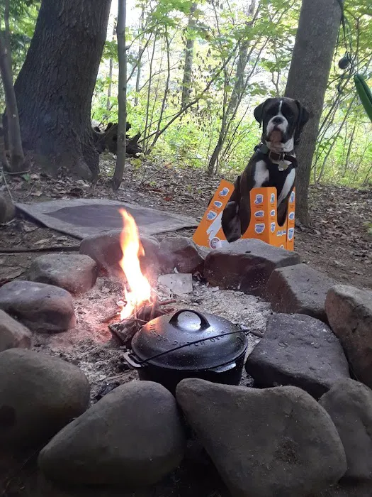 Paddler's Lane Campground Picture 9