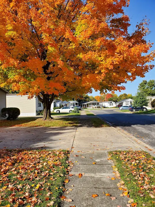 Westbrook Village Mobile Home Picture 10