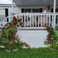 Quail Creek Mobile Home Park ico