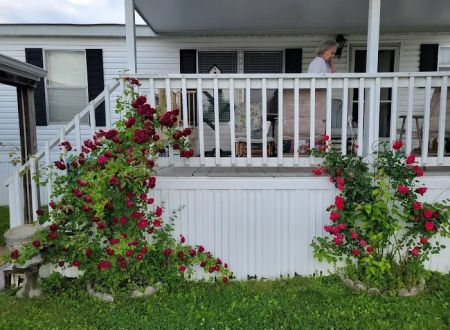 Quail Creek Mobile Home Park