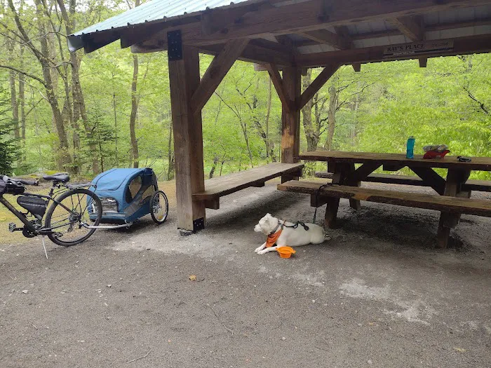 Adirondack shelter - Red Bank Valley Trail Picture 2