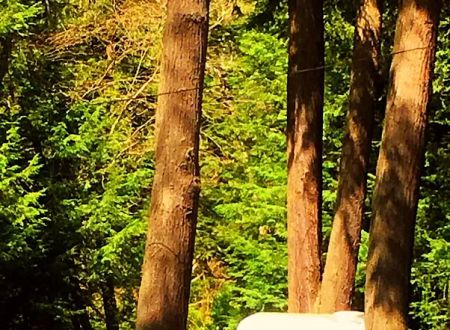 PennWood Airstream Park