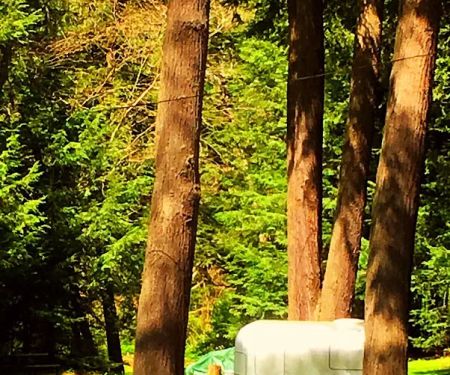 PennWood Airstream Park