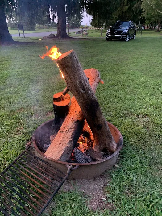 Campground Picture 8