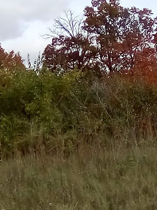Cider Mill Crossings Picture 9