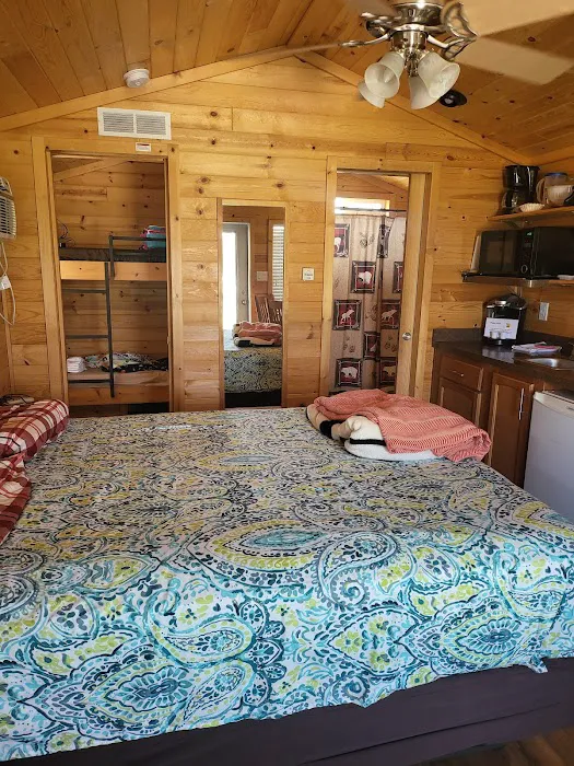 Medina / Wildwood Lake KOA Holiday Picture 5