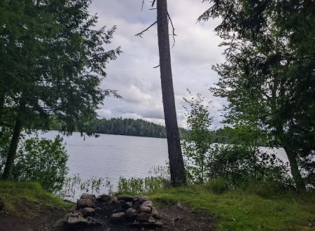 NYS Forest Campground