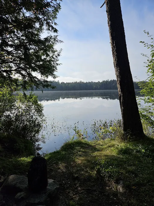 NYS Forest Campground Picture 5