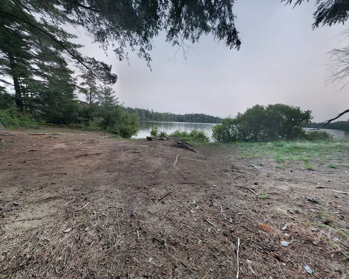 NYS Forest Campground Picture 3