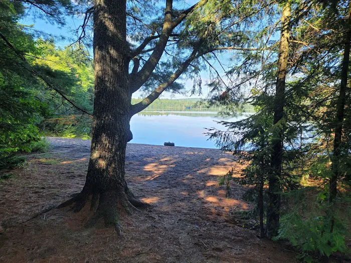Rollins Pond Campground Picture 1