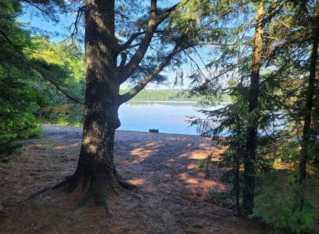 Rollins Pond Campground