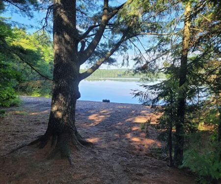 Rollins Pond Campground