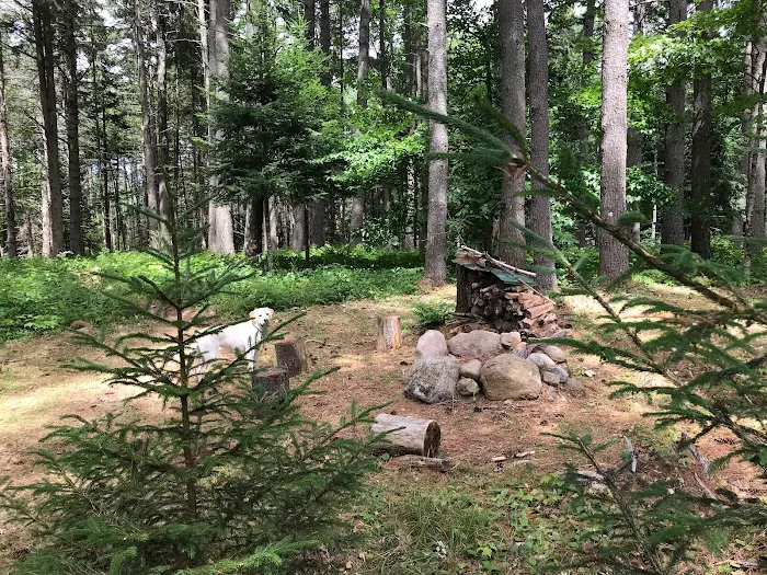 Woodland Grove Camping at Adirondack Adventure Base Picture 8