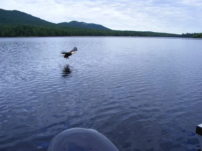 Deer River Campsite Picture 10