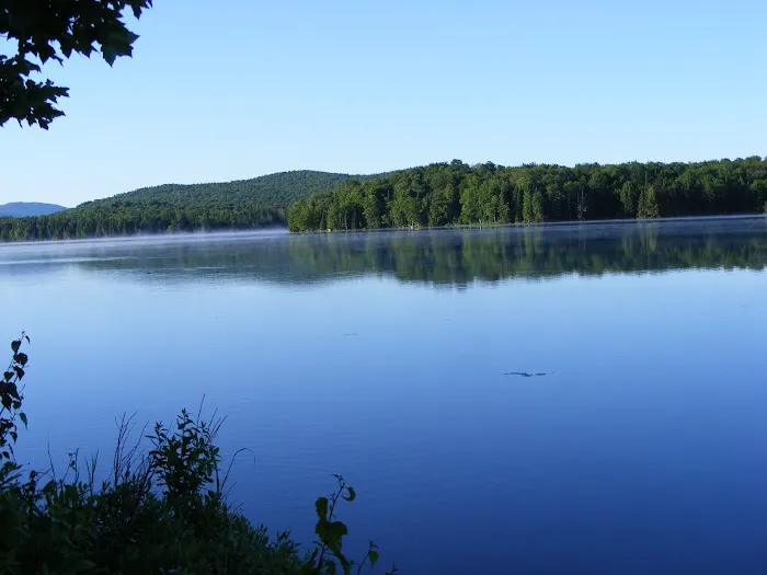 Deer River Campsite Picture 7