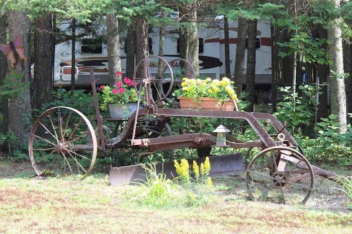 Deer River Campsite Picture 9
