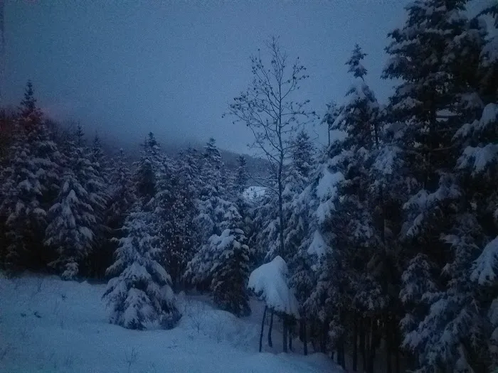 Lakes of the Clouds Hut Picture 6