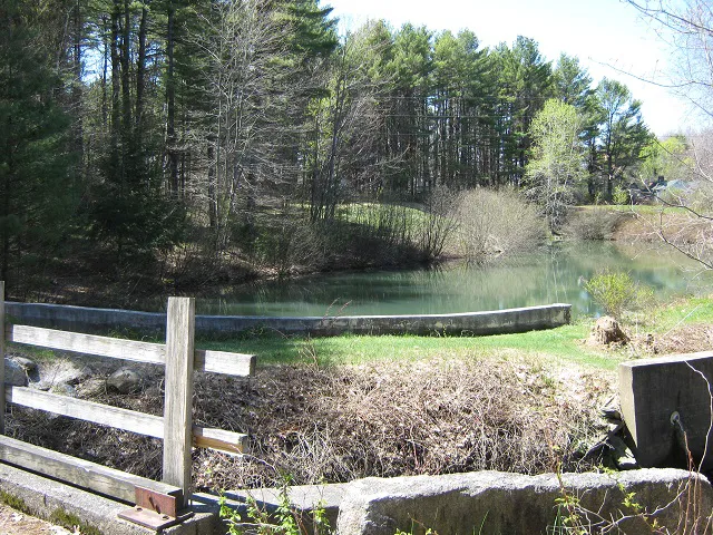 Cascadia Park Picture 3
