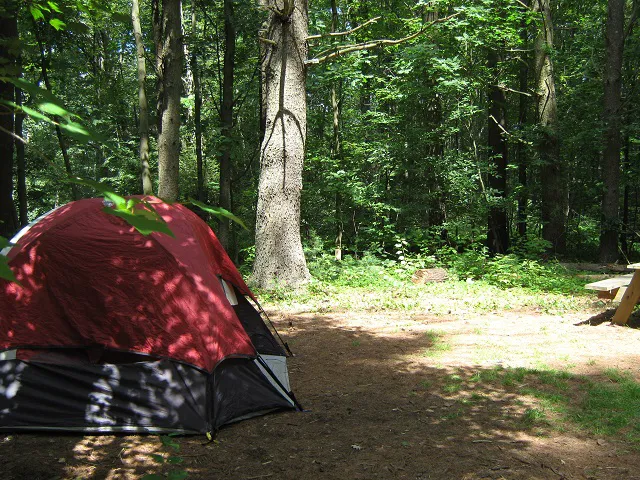 Cascadia Park Picture 1