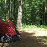 Cascadia Park