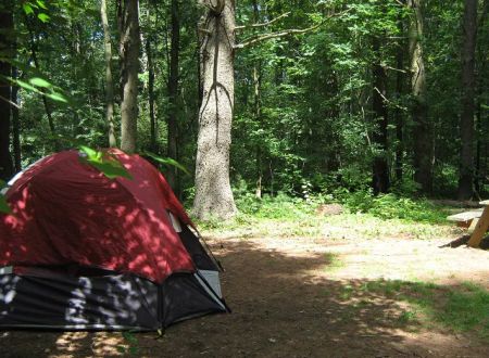 Cascadia Park