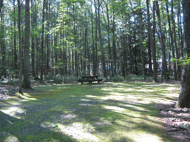 Cascadia Park Picture 10