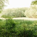 Wild Duck Adult Campground & RV Park