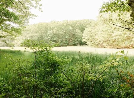 Wild Duck Adult Campground & RV Park