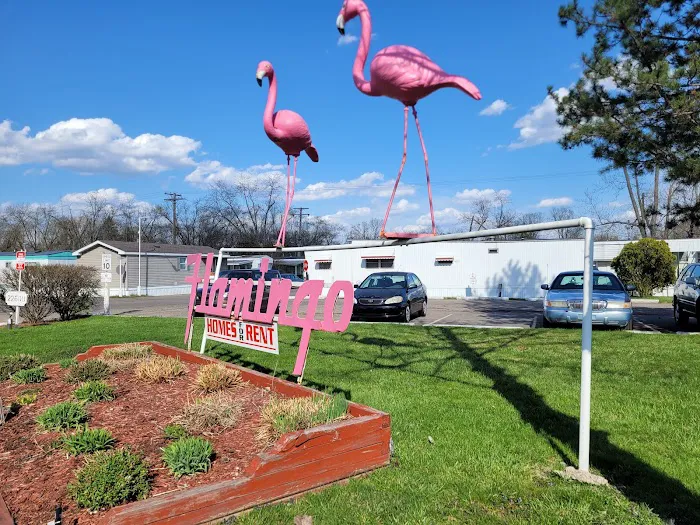 Elevate Flamingo MHC Picture 3