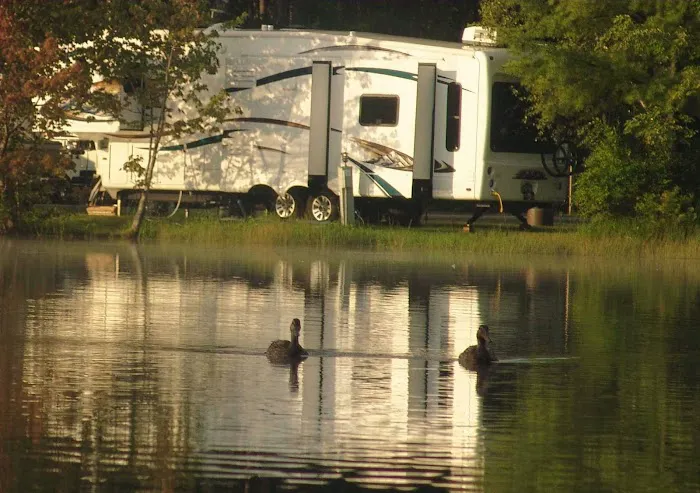 Paradise Park Resort Campground Picture 2