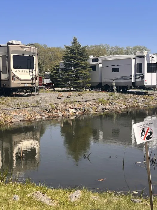 Bayley's Camping Resort Picture 8