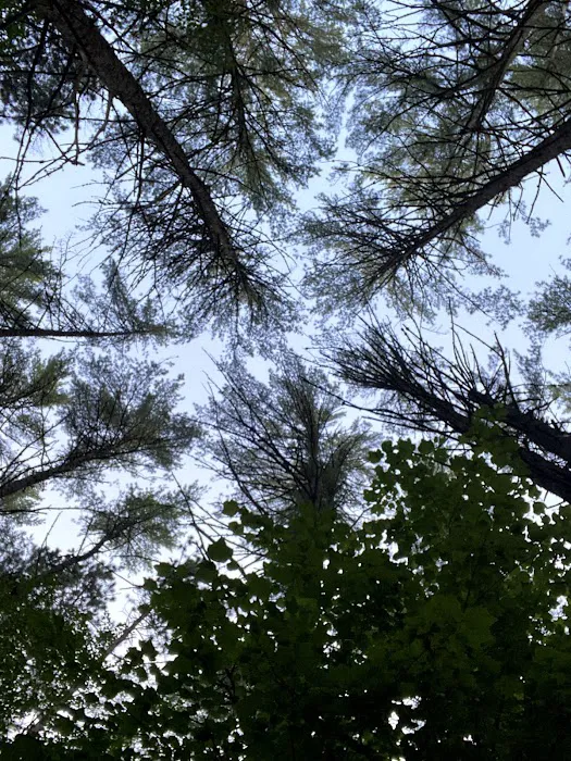 Swan's Falls Campground and Canoe Access Picture 10