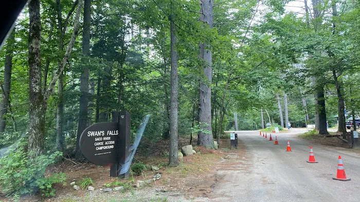 Swan's Falls Campground and Canoe Access Picture 4