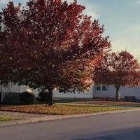 Gibraltar Meadowlands Sun Home Community ico